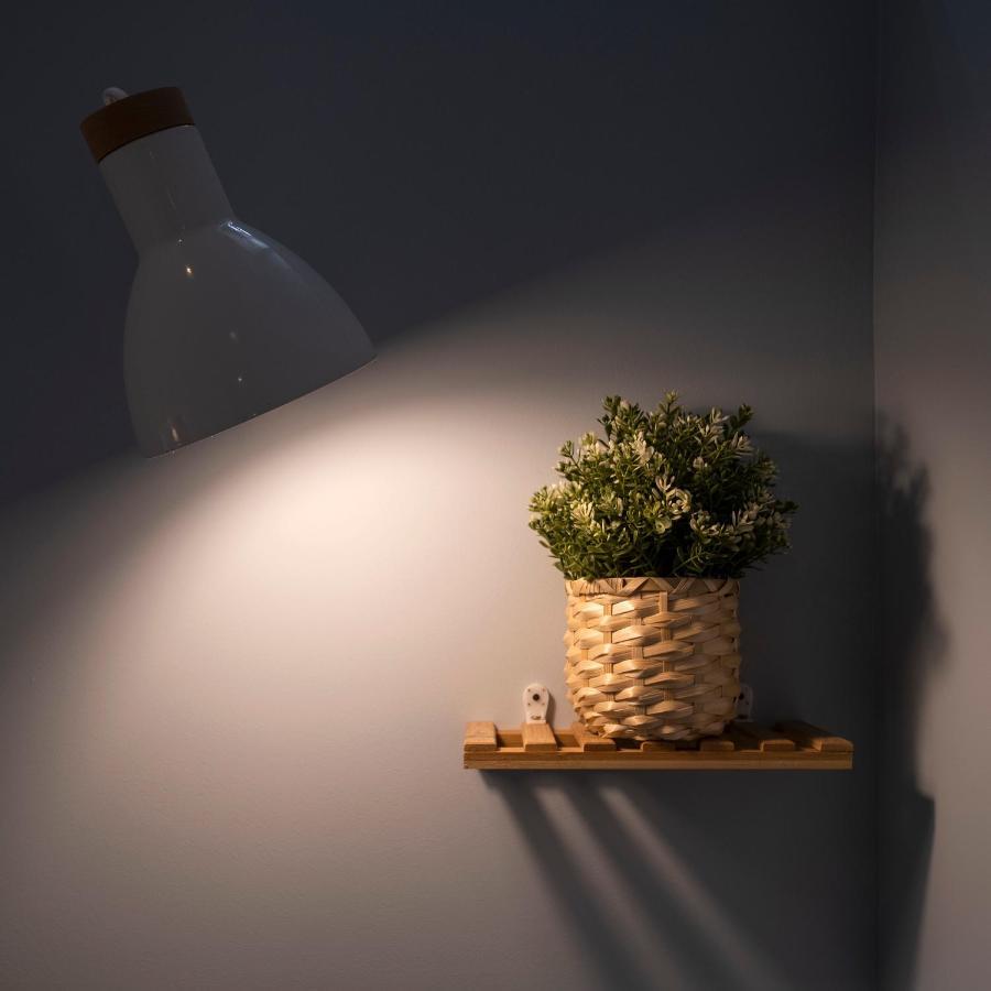 Matriz Lofts Appartement Ponta Delgada Buitenkant foto